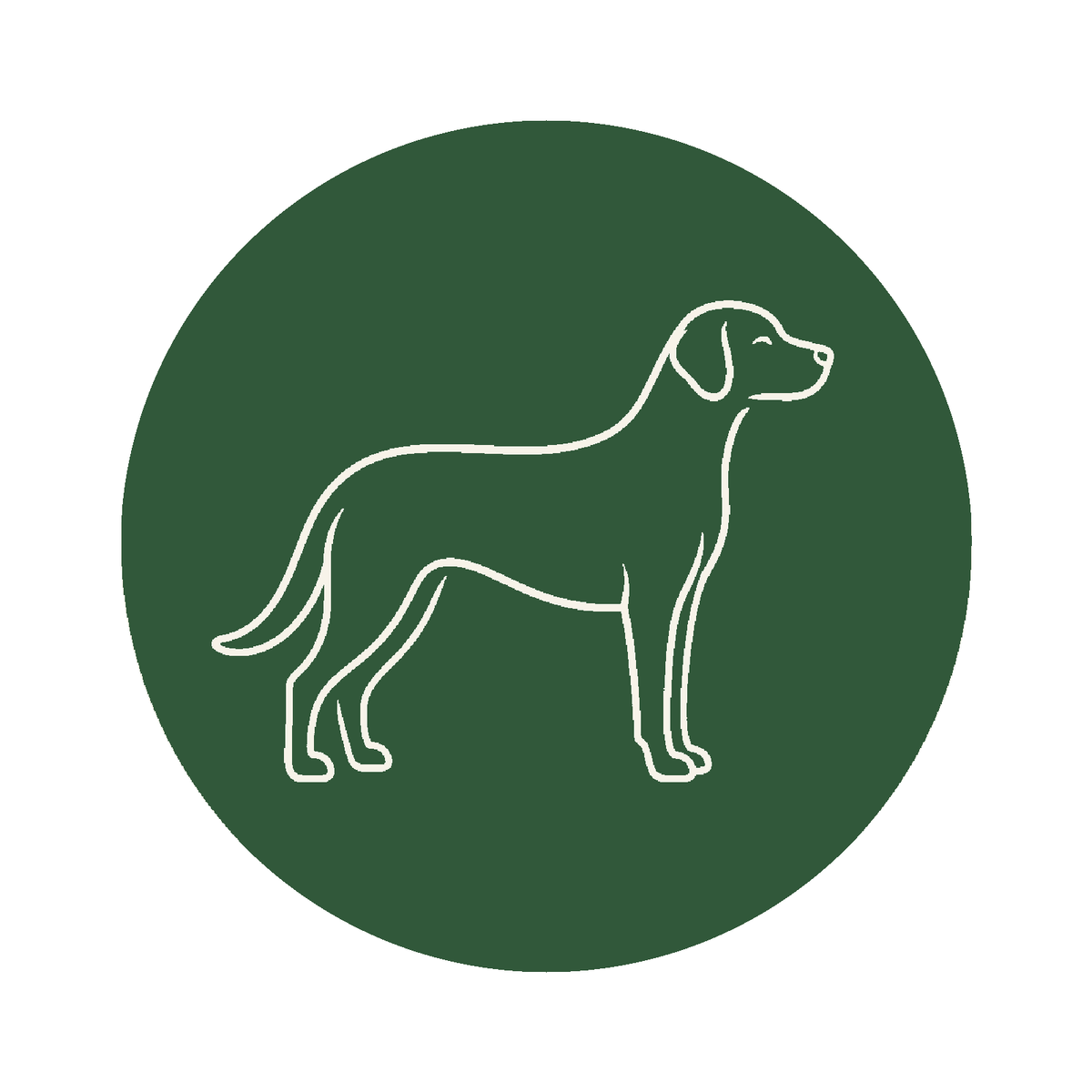 Cães