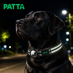 Coleira Premium para Cães com Case para AirTag