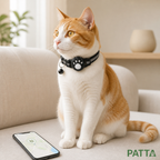 Gato usando coleira com rastreador