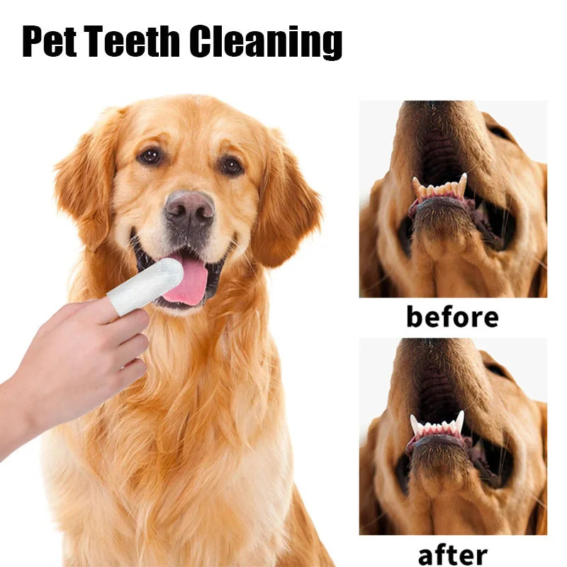 Lenços Umedecidos Descartáveis de Higiene para Cães e Gatos - 50 Unidades