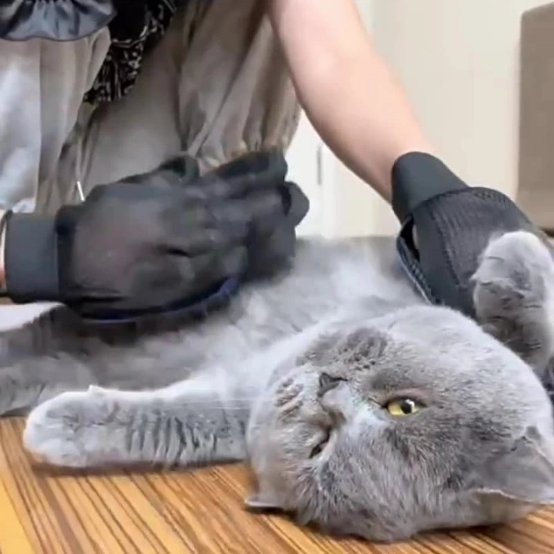 Luva de Silicone para Escovação e Banho de Cães e Gatos