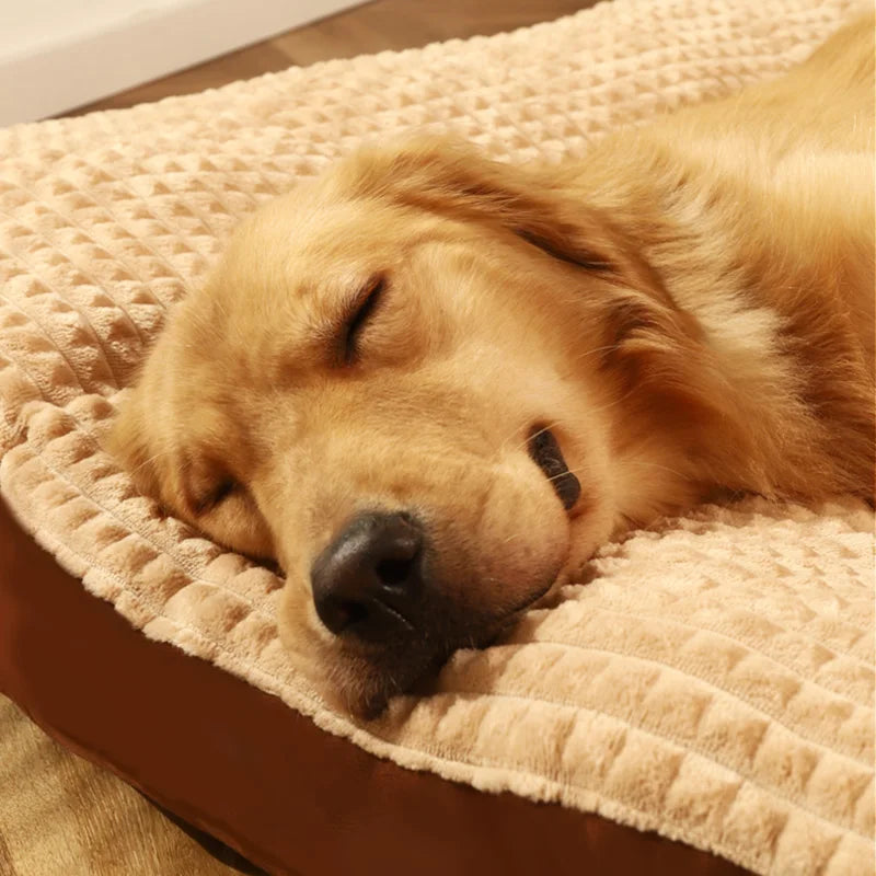 Cama de Pelúcia para Cachorro, Macia e Aquecida para o Inverno
