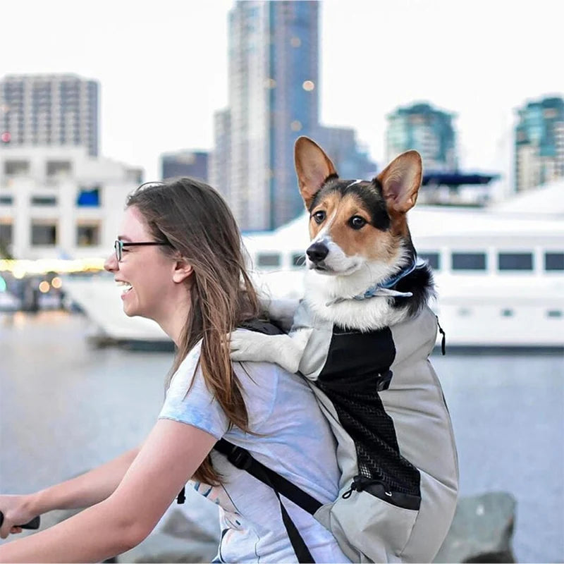 Mochila Transportadora de Nylon Resistente para Cães Pequenos e Médios