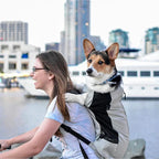 Mochila Transportadora de Nylon Resistente para Cães Pequenos e Médios