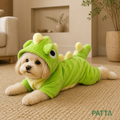 Dragão de olhos grandes - Fantasia Reversível de Pelúcia para Pets PATTA