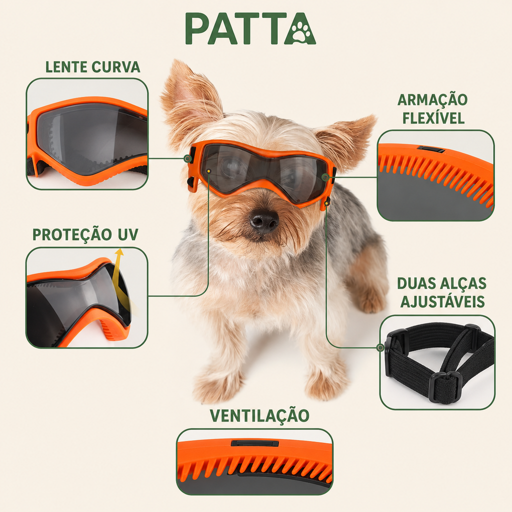 Benefícios dos óculos de proteção para cachorro