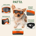 Benefícios dos óculos de proteção para cachorro